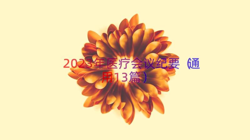 2023年医疗会议纪要（通用13篇）