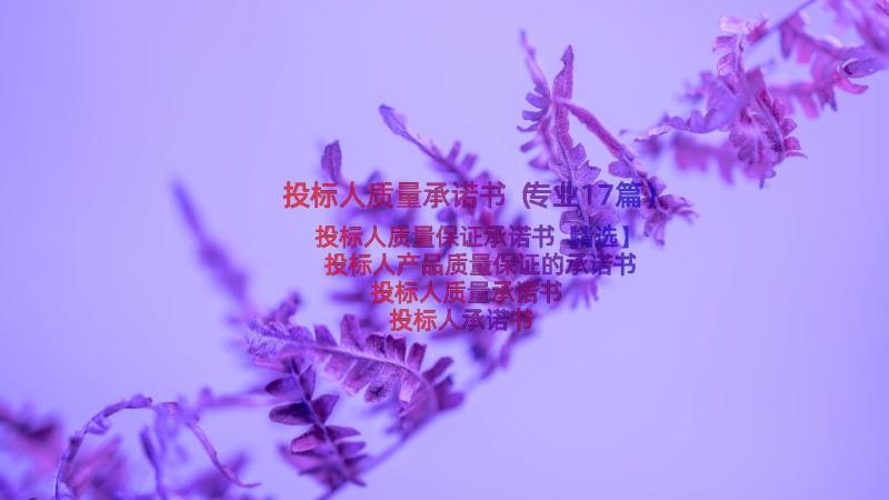 投标人质量承诺书（专业17篇）