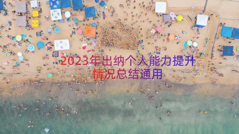 2023年出纳个人能力提升情况总结（通用17篇）