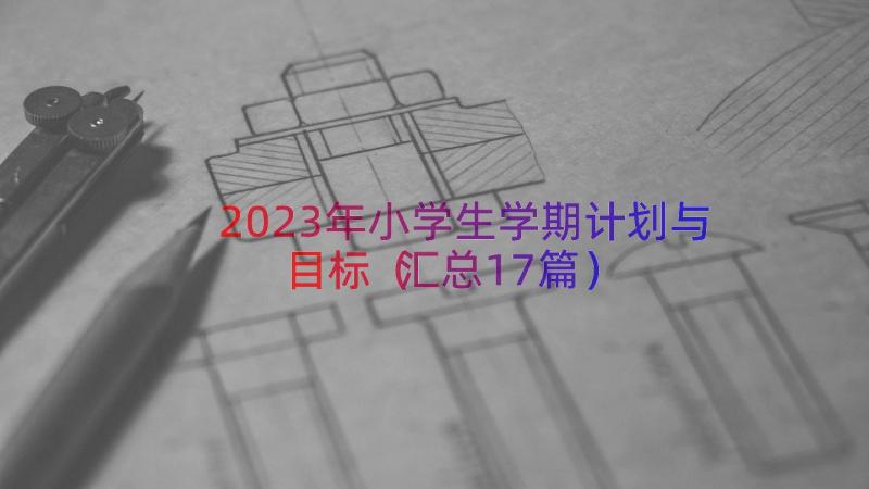 2023年小学生学期计划与目标（汇总17篇）