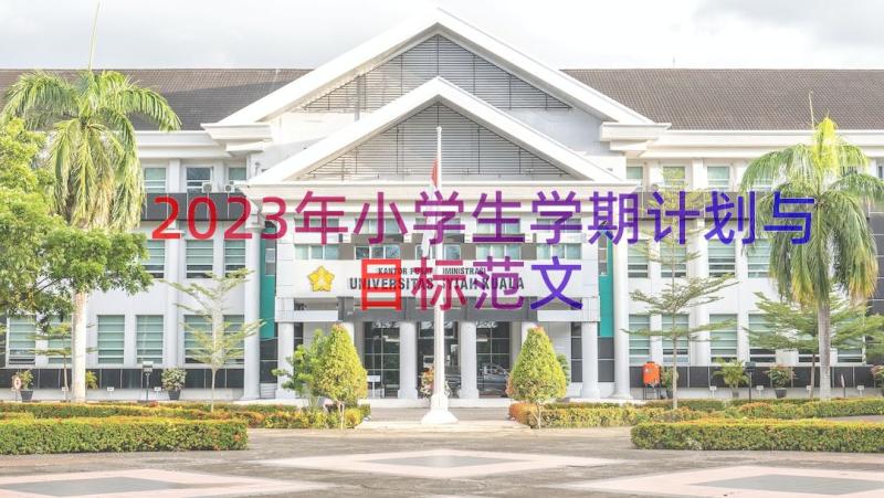 2023年小学生学期计划与目标范文（19篇）