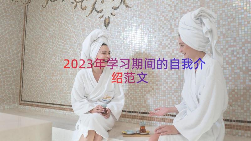 2023年学习期间的自我介绍范文（17篇）