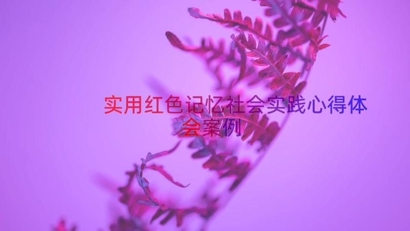 实用红色记忆社会实践心得体会（案例16篇）