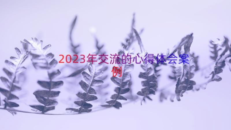 2023年交流的心得体会（案例17篇）