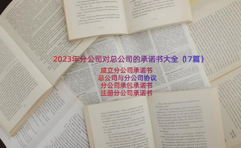 2023年分公司对总公司的承诺书大全（17篇）