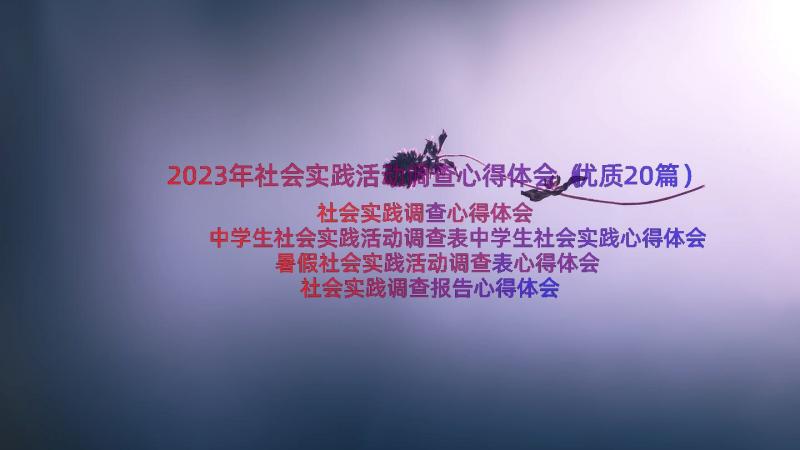 2023年社会实践活动调查心得体会（优质20篇）