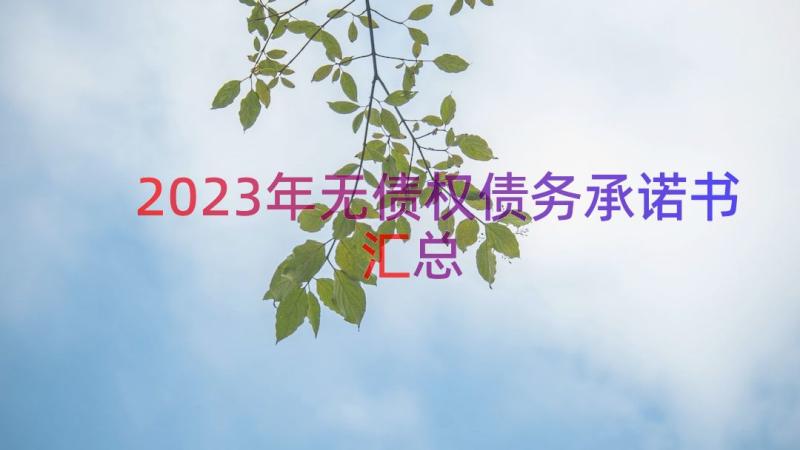 2023年无债权债务承诺书（汇总15篇）