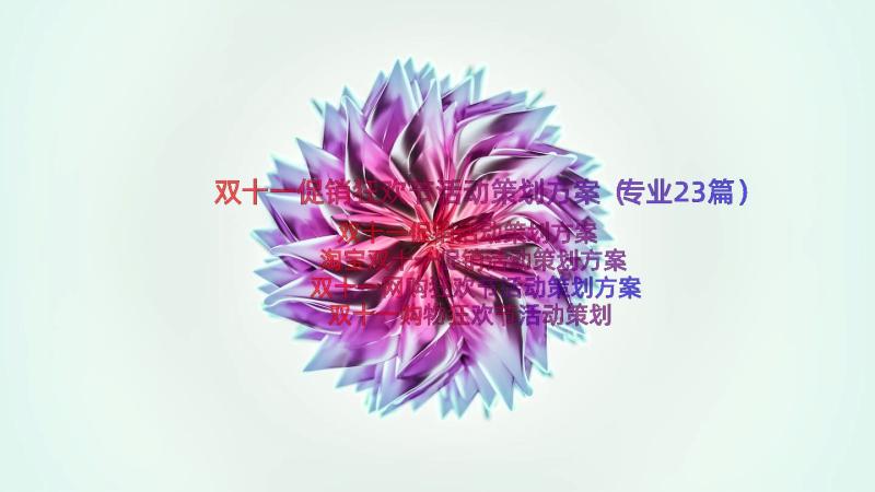 双十一促销狂欢节活动策划方案（专业23篇）