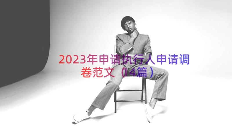 2023年申请执行人申请调卷范文（14篇）