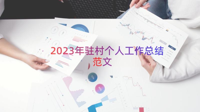 2023年驻村个人工作总结范文（17篇）