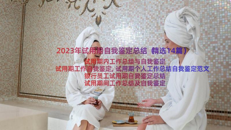 2023年试用期自我鉴定总结（精选14篇）