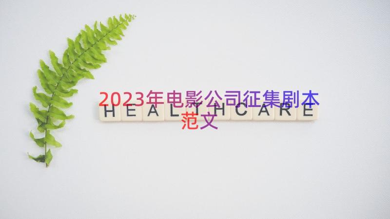 2023年电影公司征集剧本范文（14篇）