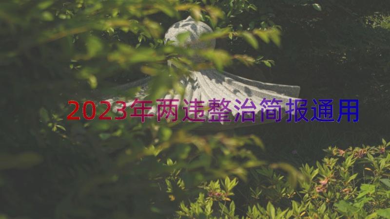 2023年两违整治简报（通用14篇）