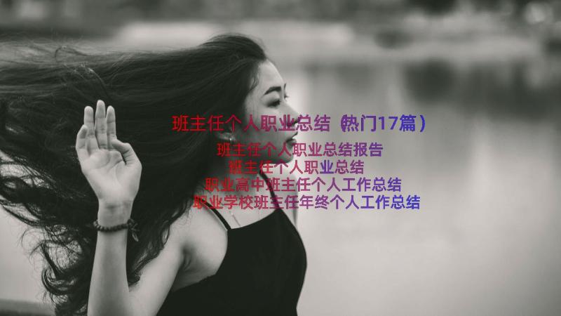 班主任个人职业总结（热门17篇）