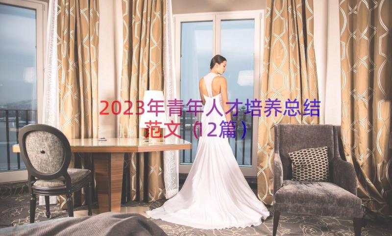 2023年青年人才培养总结范文（12篇）