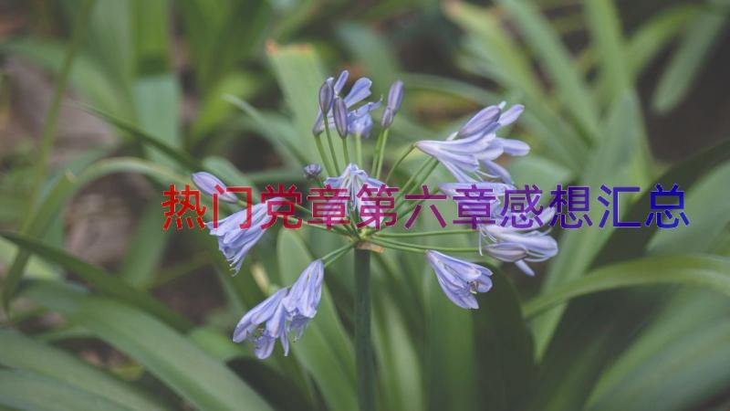 热门党章第六章感想（汇总13篇）