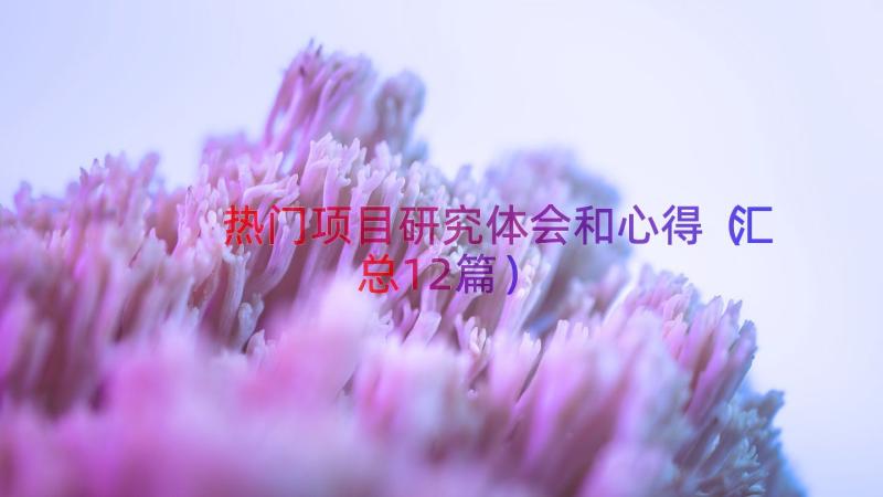 热门项目研究体会和心得（汇总12篇）