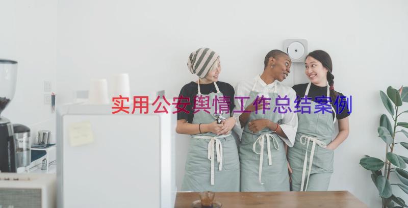 实用公安舆情工作总结（案例16篇）