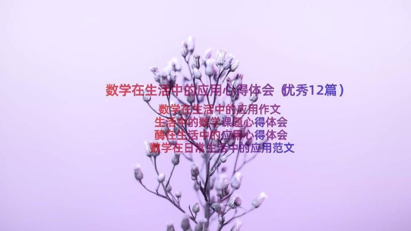 数学在生活中的应用心得体会（优秀12篇）