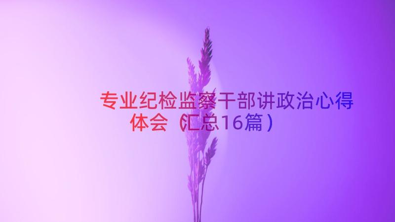 专业纪检监察干部讲政治心得体会（汇总16篇）