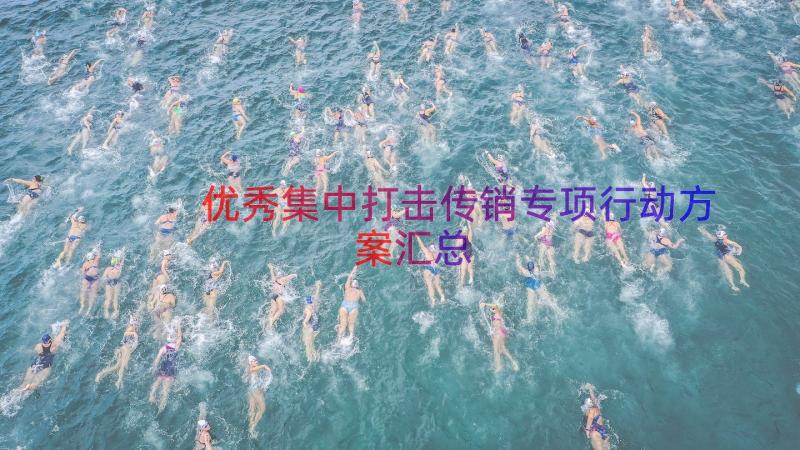 优秀集中打击传销专项行动方案（汇总18篇）