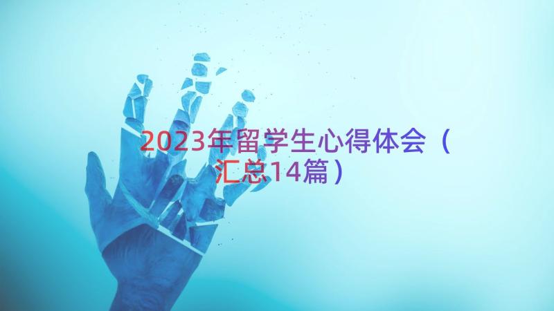 2023年留学生心得体会汇总