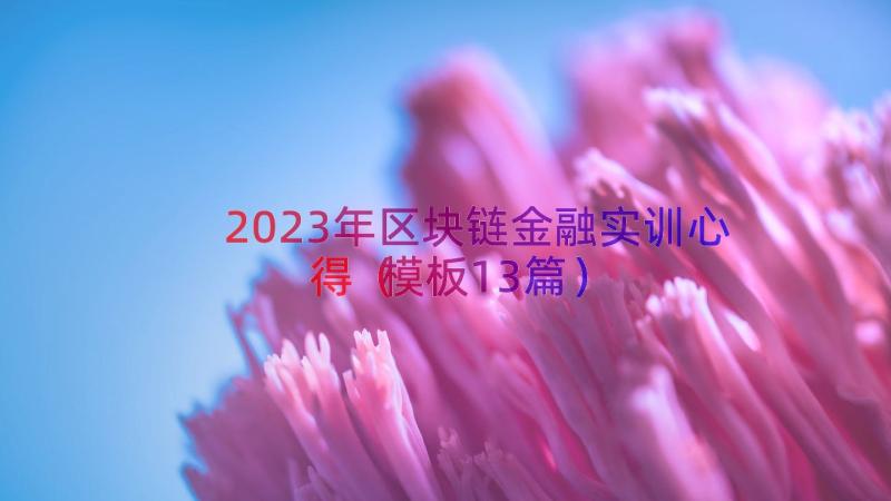 2023年区块链金融实训心得（模板13篇）