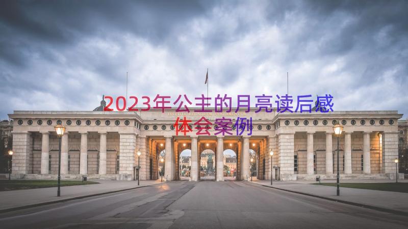 2023年公主的月亮读后感体会（案例17篇）