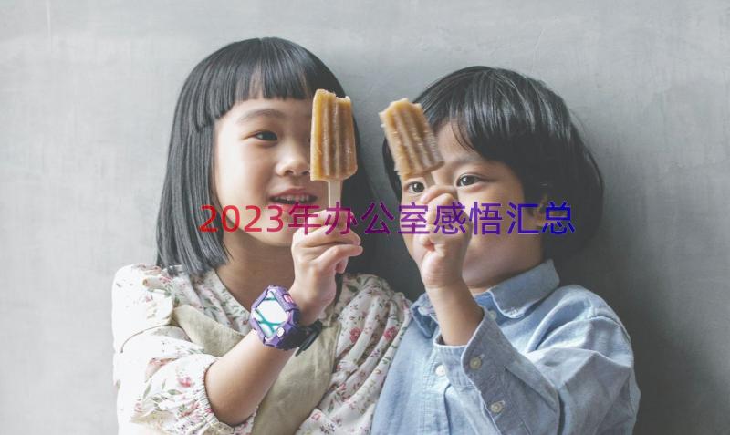 2023年办公室感悟（汇总13篇）