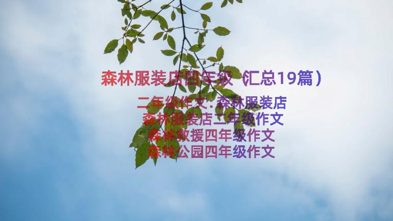 森林服装店四年级（汇总19篇）