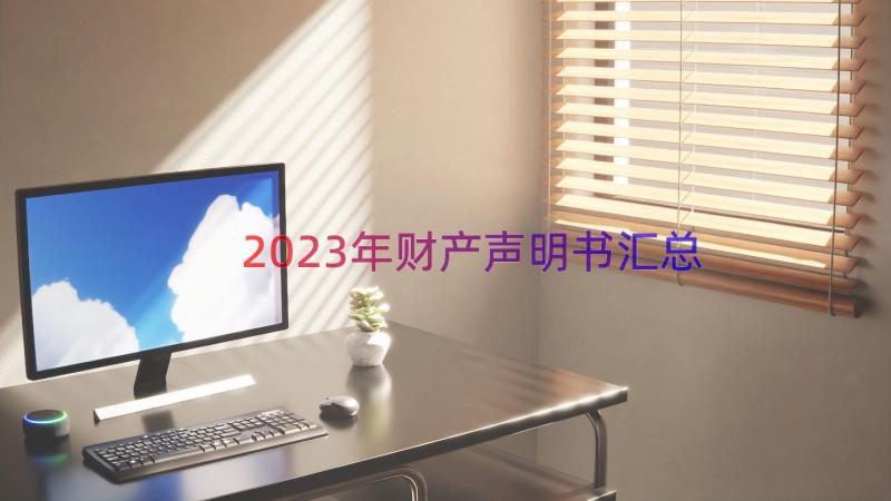 2023年财产声明书（汇总13篇）