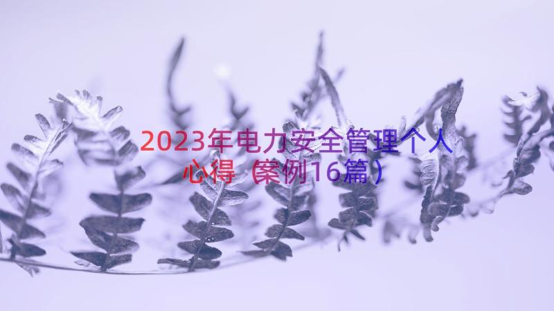 2023年电力安全管理个人心得（案例16篇）