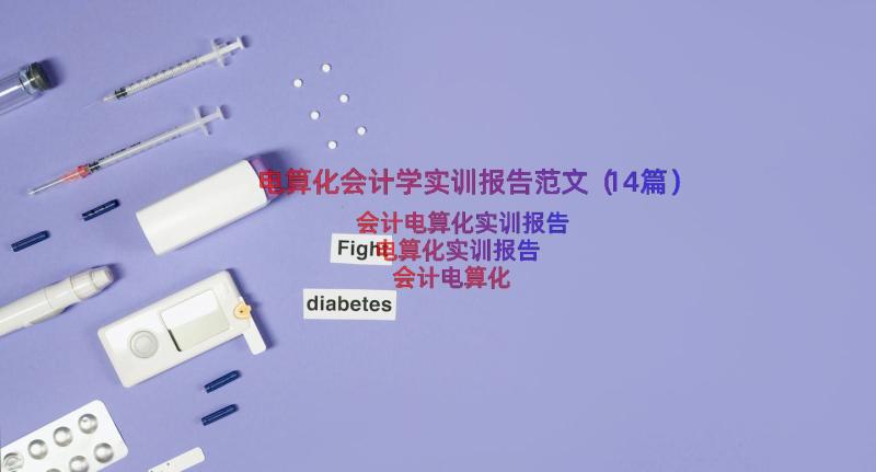 电算化会计学实训报告范文（14篇）