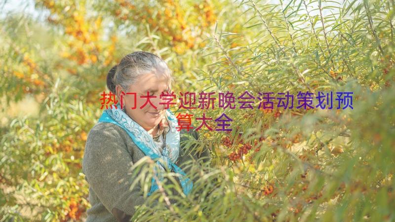 热门大学迎新晚会活动策划预算大全（14篇）