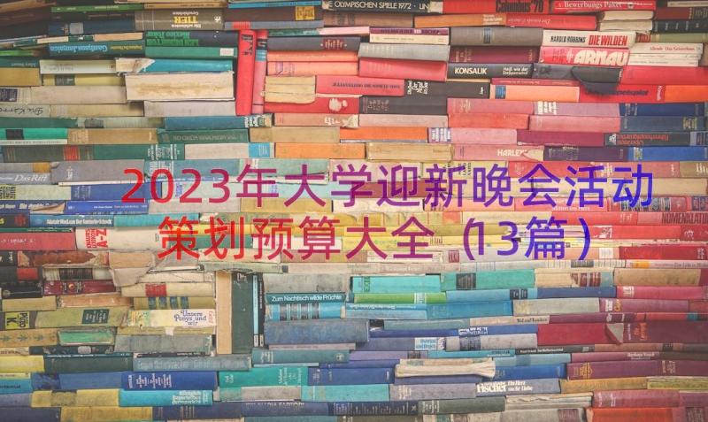 2023年大学迎新晚会活动策划预算大全（13篇）