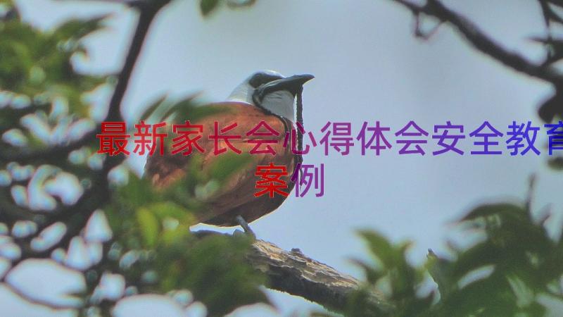 最新家长会心得体会安全教育（案例15篇）