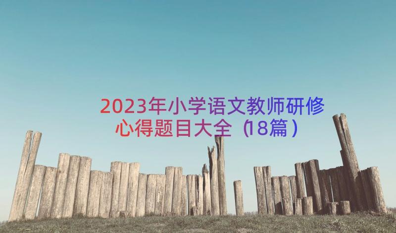 2023年小学语文教师研修心得题目大全（18篇）