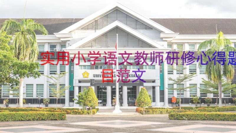 实用小学语文教师研修心得题目范文（14篇）