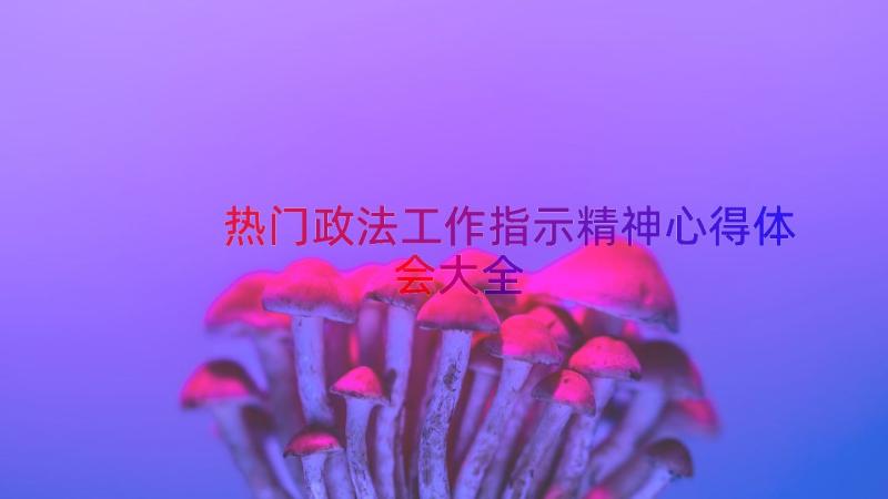 热门政法工作指示精神心得体会大全（13篇）