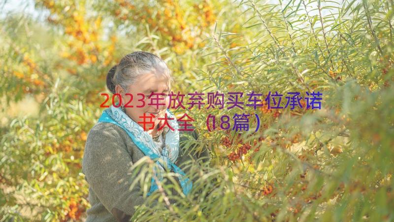 2023年放弃购买车位承诺书大全（18篇）