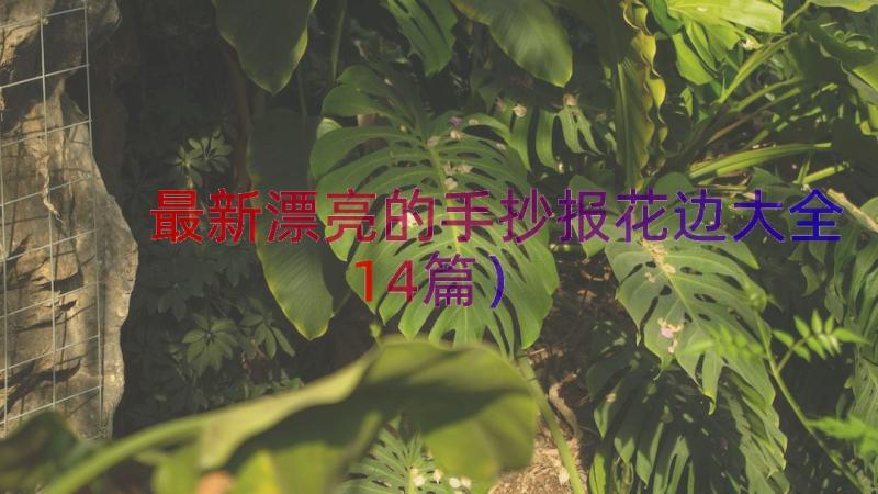 最新漂亮的手抄报花边大全（14篇）