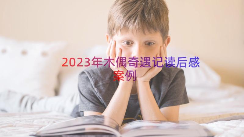 2023年木偶奇遇记读后感（案例12篇）