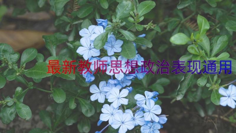 最新教师思想政治表现（通用13篇）