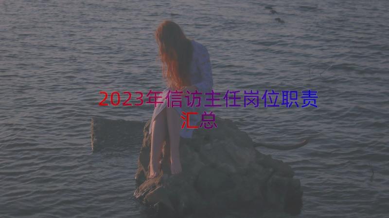 2023年信访主任岗位职责（汇总17篇）