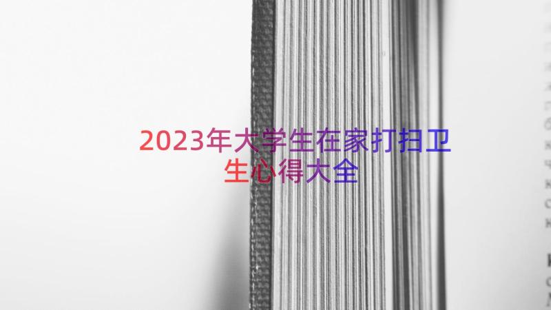 2023年大学生在家打扫卫生心得大全（16篇）