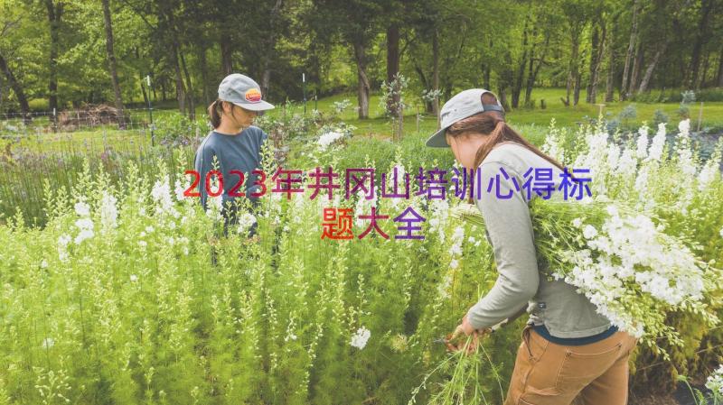 2023年井冈山培训心得标题大全（15篇）