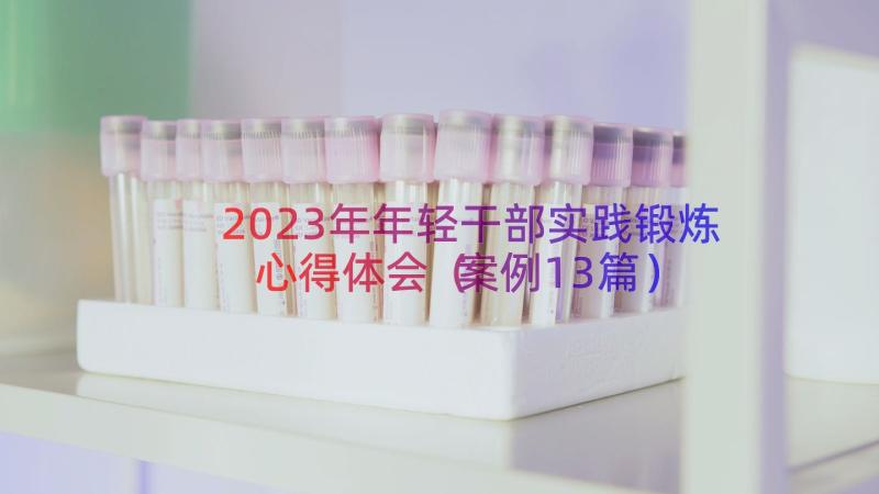 2023年年轻干部实践锻炼心得体会（案例13篇）