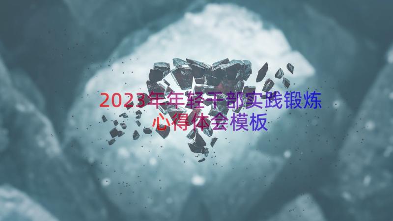 2023年年轻干部实践锻炼心得体会（模板15篇）