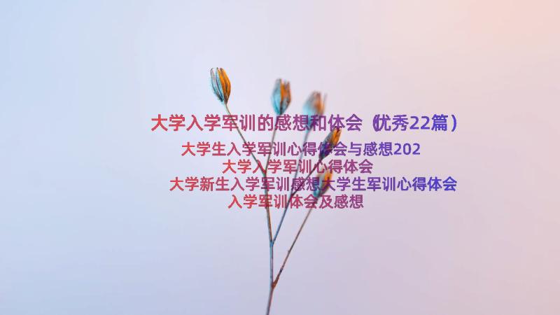 大学入学军训的感想和体会（优秀22篇）