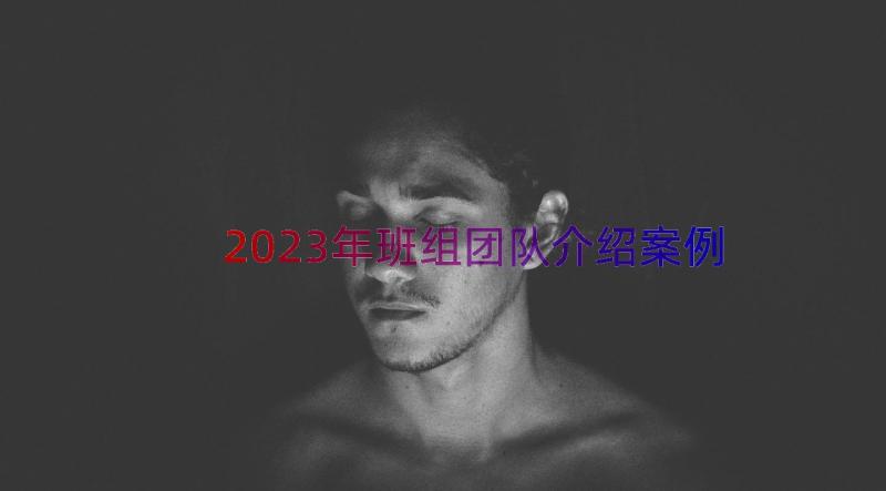 2023年班组团队介绍（案例18篇）